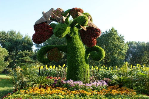 【四川園林綠雕設(shè)計(jì)安裝定制,純手工制作】- 