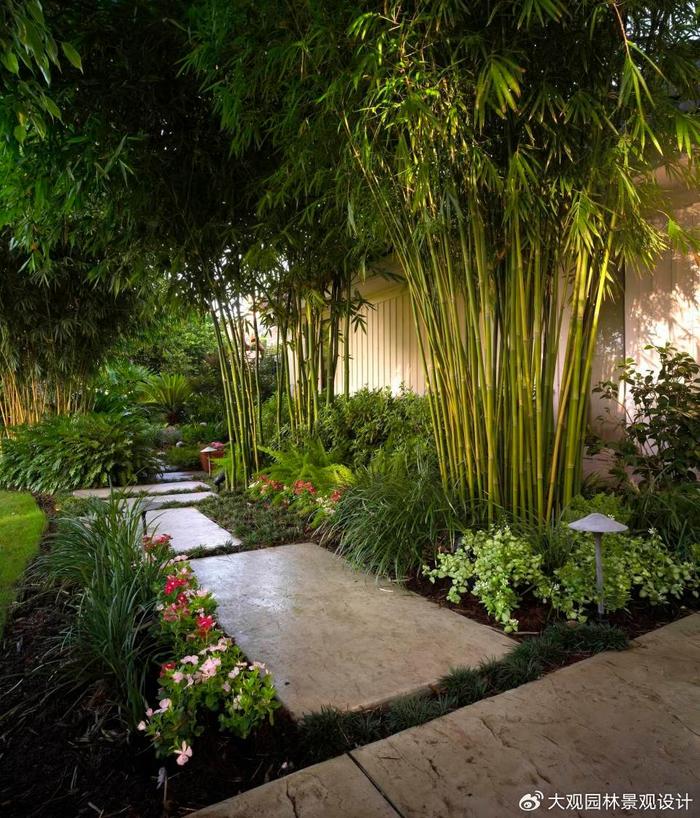 園林景觀設計中常用的竹類苗木產(chǎn)品有哪些你知道嗎?__財經(jīng)頭條