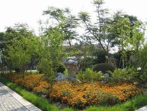 廣州園林綠化與景觀設計 專業服務全解析